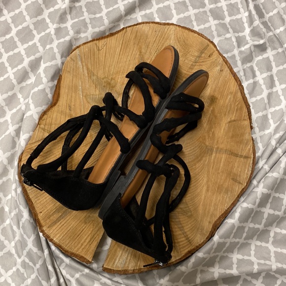 American Eagle - Picture 6 of 8